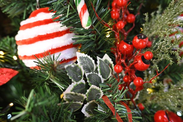 圣诞装饰布置，圣诞老人，鲜花，雪，礼物，模糊区域，节日礼物图片图片下载