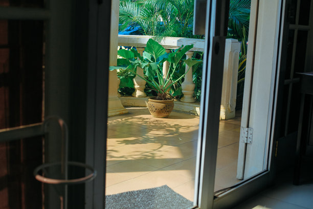 阳台上的盆栽植物，照片从房间内部拍摄。图片下载