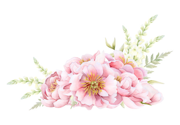 春季白色和粉色牡丹、紫罗兰及绿色叶子的水彩插图。手绘花园玫瑰花卉角落构图，适用于春季婚礼、花艺设计和母亲节贺卡。图片下载