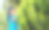 小女孩在户外玩树时，看着镜头微笑玩耍的照片。图片下载