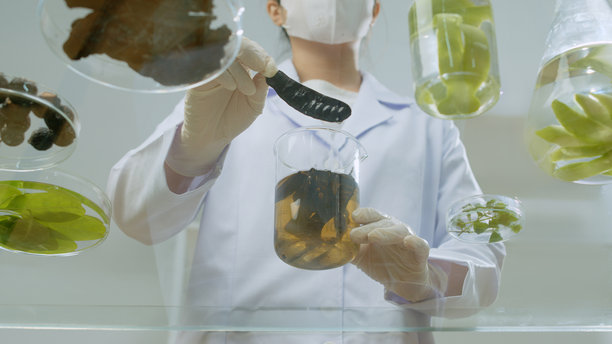 一位女性科学家手持黑槐，准备将其放入玻璃烧杯中，实验桌上是玻璃制品。这是一张用于天然洗发水产品的宣传照片，留有空白空间供设计使用。图片下载