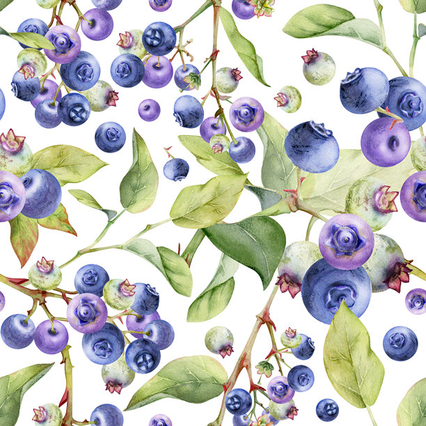 蓝莓和黑莓，带有绿色叶子，手绘水彩，森林浆果成簇生长在树枝上。无缝横幅花环插图，适用于餐厅、咖啡馆菜单、婚礼、农贸市场。图片下载