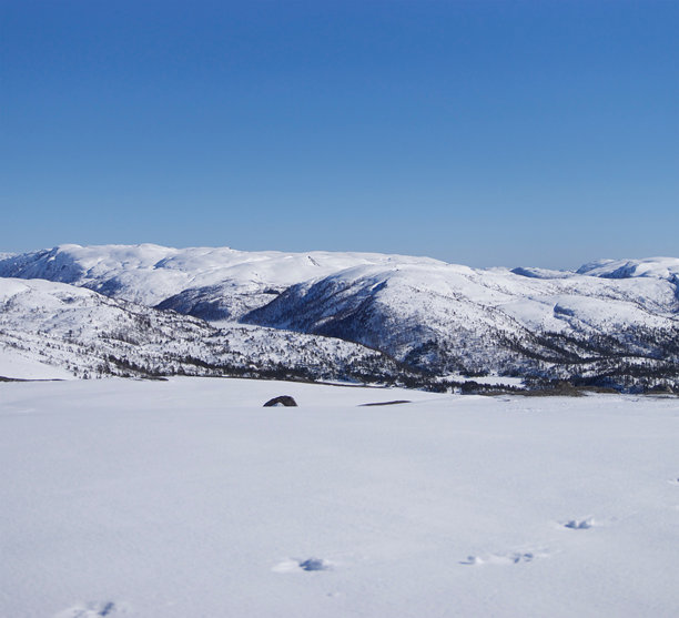美丽的冬季自然风光照片，雪山巅，雪白的山景，天空下的雪山图片下载