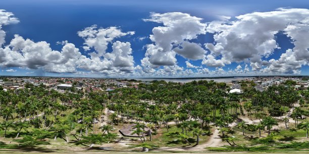 用无人机拍摄的苏里南帕拉马里博棕榈树花园的360度航拍照片图片下载