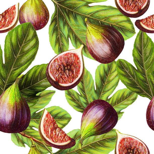 手绘无缝植物图案的无花果水果图片下载
