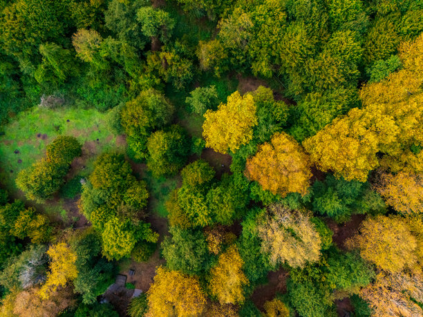 美丽的彩色森林鸟瞰图。土耳其黑海森林的秋季航拍视频。高质量照片。图片下载