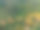 美丽的彩色森林鸟瞰图。土耳其黑海森林的秋季航拍视频。高质量照片。图片下载