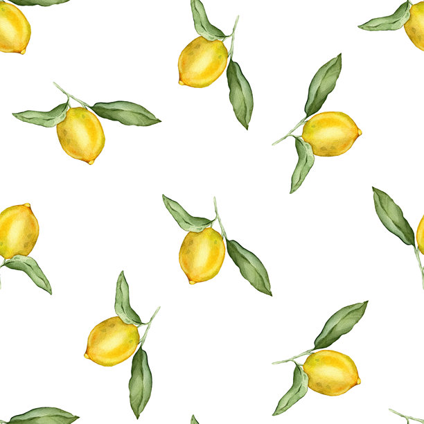 无缝图案，水彩插图的柠檬或青柠。手绘的柠檬枝和绿色叶子，背景为白色，适用于果汁标签或图标。图片下载