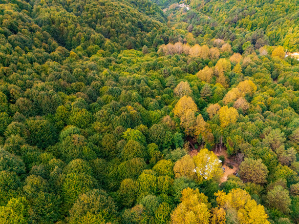 美丽的彩色森林鸟瞰图。土耳其黑海森林的秋季航拍视频。高质量照片。图片下载