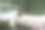 非洲女性躺在医院床上，翻阅平板电脑上的照片，回忆快乐的时光。图片下载