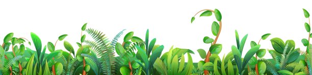 草地上的草正在生长。图片横向无缝。物体独立于白色背景。卡通趣味风格插图矢量图。图片下载