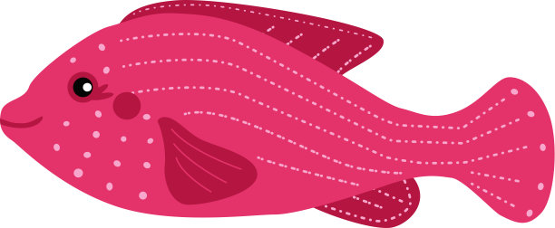 一只微笑的克罗米斯鱼。热带鱼。珊瑚礁。手绘。适合您设计的矢量涂鸦图片。图片下载
