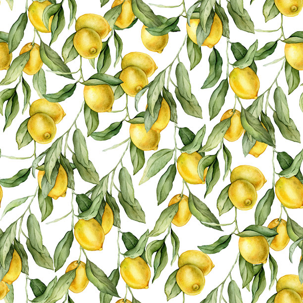 无缝图案，水彩插图的柠檬或青柠。手绘的柠檬枝和绿色叶子，背景为白色，适用于果汁标签或图标。图片下载