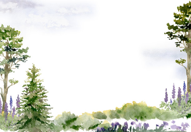 风景如画的森林松树、草地灌木和花朵，手绘的高山岩石水彩画。适合旅游、度假广告、徒步旅行和露营地的横向框架。图片下载