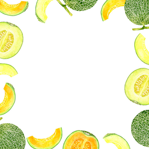 瓜的框架。手绘水彩插图背景，展示蔬菜和水果。图片下载