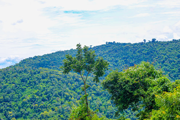 泰国山区自然音乐会的图片，适合用作背景和壁纸。图片下载