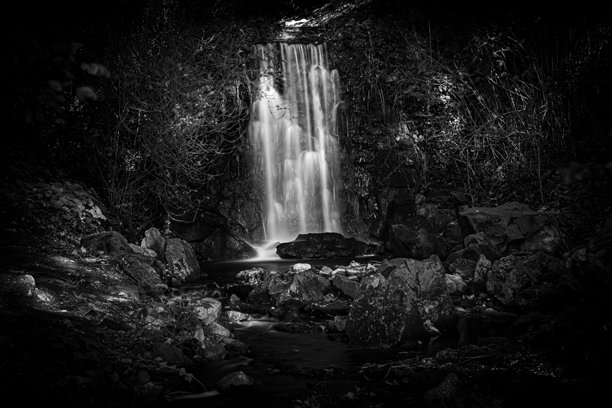 一张黑白照片，展示了森林中的瀑布图片下载