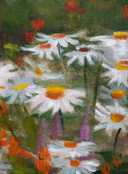时尚的夏季插图现代艺术作品我的原始油画在画布上花在床上的洋甘菊和金盏花盛开图片下载