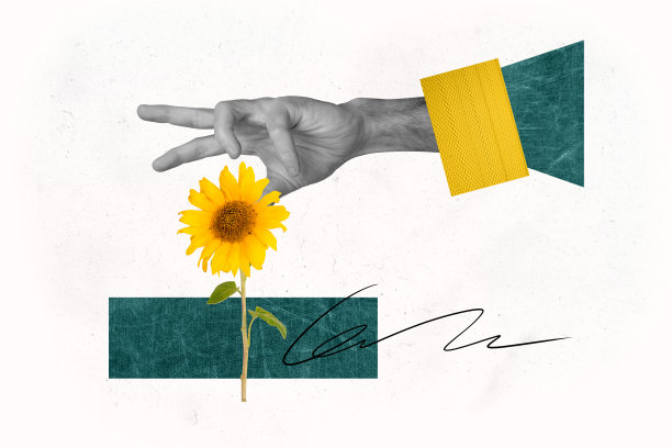 手部拼贴照片，想要抓住向日葵花蕾，黄色花瓣，夏季假期，背景为涂鸦风格。图片下载