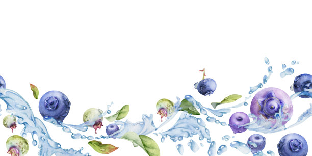 蓝莓和黑莓在水中飞溅，手绘水彩风格，成熟的紫色森林浆果和叶子。适用于餐厅、咖啡馆菜单、婚礼和农贸市场的无缝横幅插图。图片下载