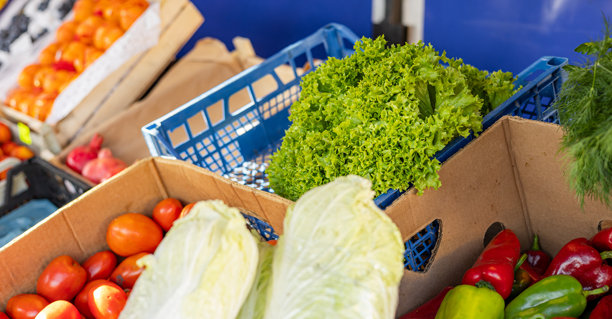 市场上的一堆绿色生菜。新鲜的生菜叶子从花园中采摘后出售。烹饪食材的图片。生菜叶绿色蔬菜食材。图片下载
