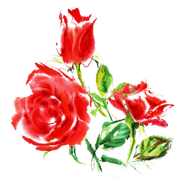 三朵红玫瑰配以绿色叶子，采用鲜艳的水彩手绘。玫瑰花瓣盛开，鲜红和猩红色的笔触生动，背景为白色。这些优雅的花朵可以用作情人节和母亲节的明信片。图片下载