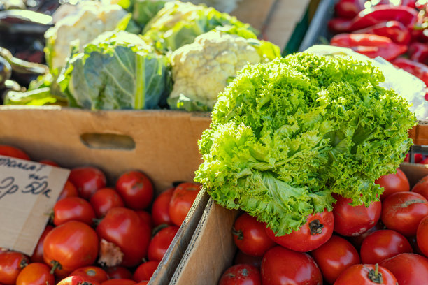 市场上的一堆绿色生菜。新鲜的生菜叶子从花园中采摘后出售。烹饪食材的图片。生菜叶绿色蔬菜食材。图片下载
