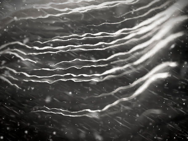 创意极简纹理照片图片下载