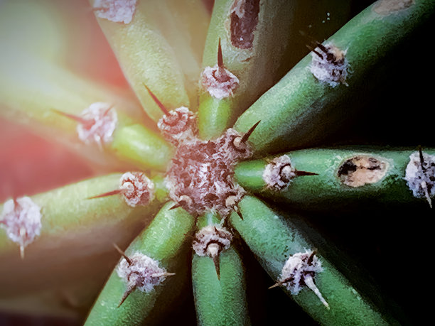 创意极简纹理照片图片下载