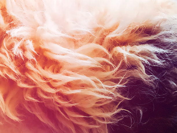 具有纹理的创意照片图片下载