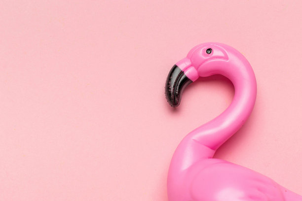 粉色塑料火烈鸟与柔和背景：时尚简约的库存图片图片下载