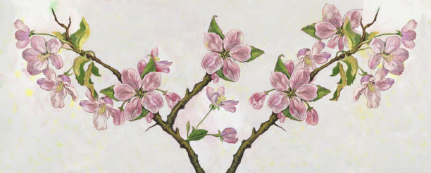 时尚的插图，印象派的现代艺术作品，我的原画水粉和水彩画，春天的静物画，在耀眼的阳光下开花的苹果树的树枝图片下载