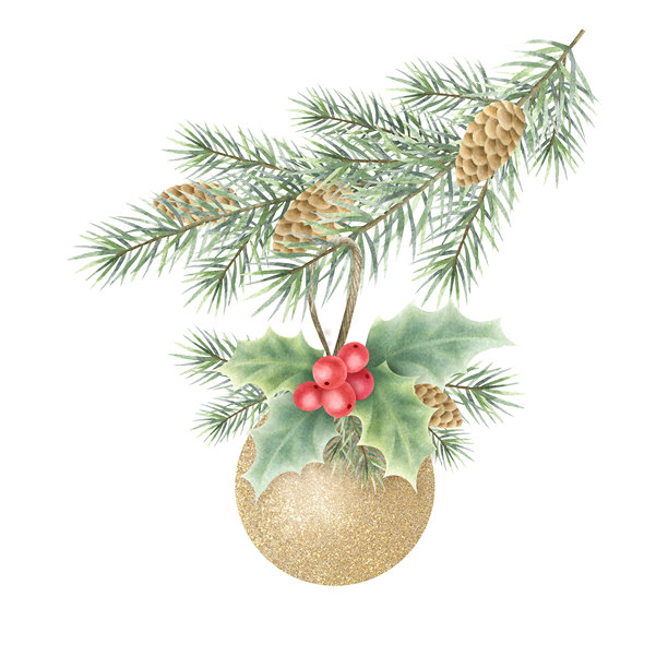 圣诞金色树球与冬青植物挂在带松果的云杉树枝上。手绘水彩插图，适用于新年贺卡模板、节日包装和设计。图片下载