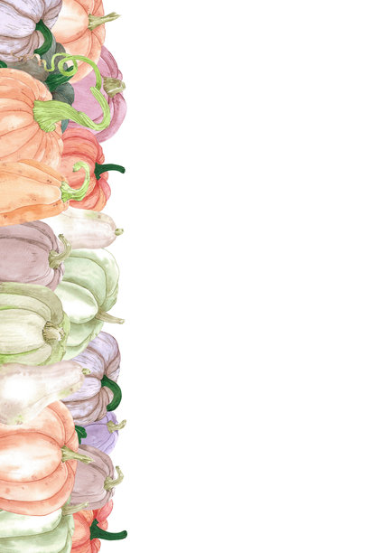 手绘水彩秋季南瓜框架边框，独立于白色背景。乡村插图，可用于明信片、标签、剪贴簿和其他印刷产品。图片下载