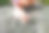 蜗牛的运动。软体动物背景素材。图片下载