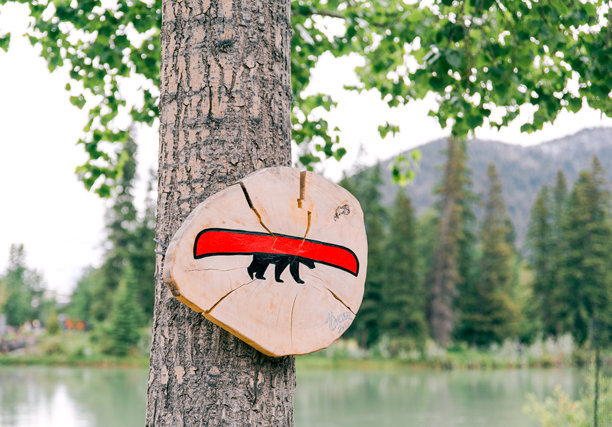 独木舟租赁站。加拿大阿尔伯塔省班夫国家公园。有趣的熊的照片。图片下载