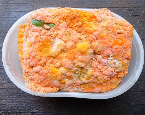 食品盒中的发霉豆腐的俯视照片图片下载