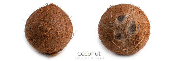 一个破碎的椰子在白色背景上。微距照片。图片下载