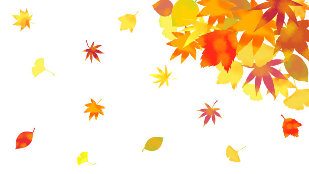 秋天落叶插图背景素材图片下载