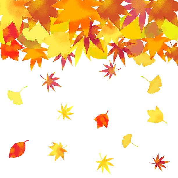 秋天落叶插图背景素材图片下载