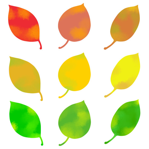 一组多彩的秋天树叶插图素材图片下载