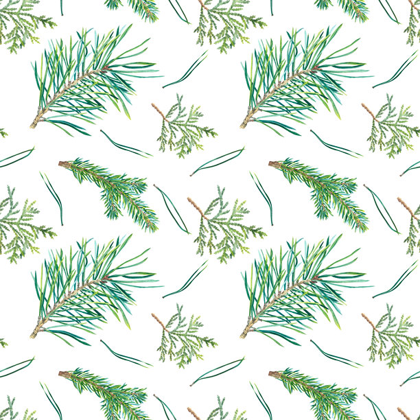 无缝图案，包含松树和冷杉树枝、雪松小枝和针叶。手绘水彩插图展示常青树。背景为针叶树枝，适用于圣诞节、新年装饰和自然印刷。图片下载