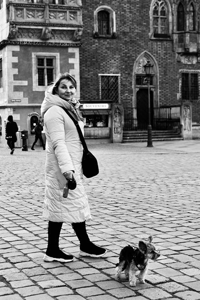 一张黑白照片，展示了一位穿着温暖衣物的女性牵着一只小约克夏犬。中年女性在城市街道上遛狗。图片下载