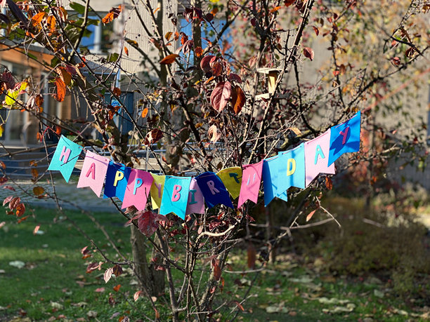这张照片展示了一个节日气氛的生日快乐横幅挂在院子里的树枝上。图片下载