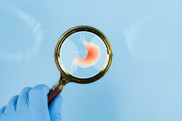 用放大镜观察胃部。一个人正用放大镜对着胃部的图片。图片下载