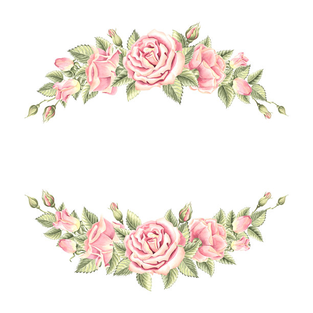 带有绿色叶子的玫瑰花。春季明信片，横向框架。手绘水彩插图，独立图像。花园植物的剪贴画。带有空白空间的花卉模板，适用于邀请函、婚礼、印刷。图片下载