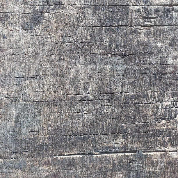 老旧的胶合板或木材经过热量和降雨后，表面呈现灰色霉菌和陈旧的质感 | 自然照片图片下载