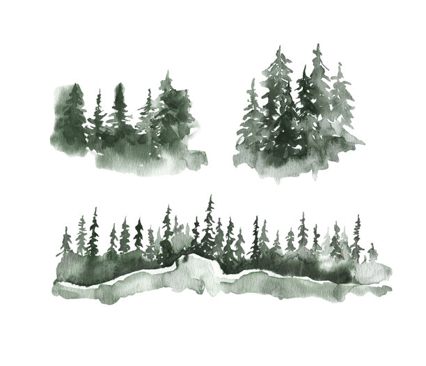 水彩冬季森林风景背景，松树和云杉树。绿色手绘纹理适用于圣诞节和新年设计、贺卡。图片下载