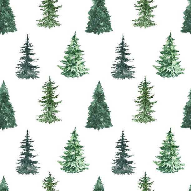 水彩松树无缝图案。手绘云杉森林在白色背景上的重复印刷。冬季插图与常青树。圣诞背景。图片下载