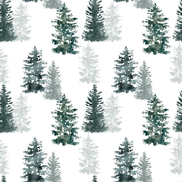 水彩松树无缝图案。手绘云杉森林在白色背景上的重复印刷。冬季插图用于圣诞设计。图片下载